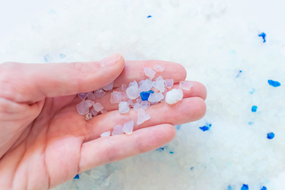 Kedin Kumu Secerken Goz Onunde Bulundurulması Gerekenler